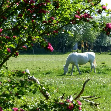5 Places -mont Saint-michel- La Taniere Le Jersey * Moidrey