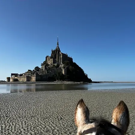 5 Places -mont Saint-michel- La Taniere Le Jersey *