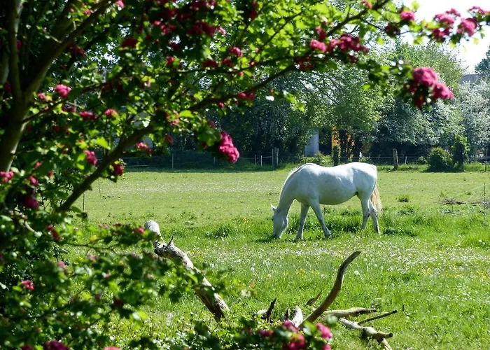 5 Places -mont Saint-michel- La Taniere Le Jersey * Moidrey